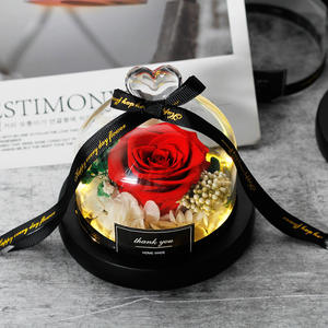 Cadeau souvenir bon marché dôme en verre rose pour toujours <span class=keywords><strong>fleurs</strong></span> durables roses roses éternelles conservées dans un dôme en verre avec lumière - Product Image 1