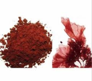 Polvo de Algas Rojas Puras, Ingrediente Botánico Marino Natural para Suplementos Dietéticos, Formulaciones de Alimentos Funcionales, Productos de Bienestar - Product Image 5
