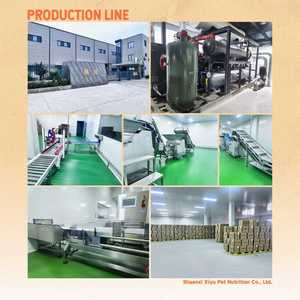 Nhà Máy Giá Chất Lượng Cao Hạt Miễn Phí Khô Thức Ăn Cho Chó Thức Ăn Vật Nuôi 10 Kg Hỗn Hợp Lựa Chọn Ban Đầu Dành Cho Người Lớn Thực Phẩm Khô - Product Image 4