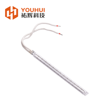 Tête de lampe à particules en céramique Revêtement blanc Twin Tube Quartz Ir Lampe halogène