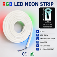 Ruban lumineux néon en silicone 24V à changement de couleur, éclairage linéaire découpable à 5 cm pour projets de façades de bâtiments et aménagements paysagers