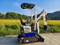 Livraison Gratuite pour Mini-Excavatrice à Moteur de 1 à 6 Tonnes, Type Chenilles, Machine de Construction et d'Agriculture avec Pompe à Moteur et Engrenage Certifiée EPA