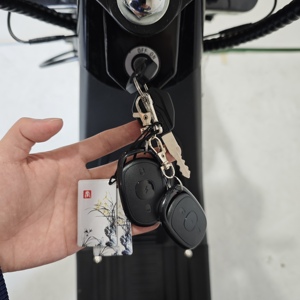 <span class=keywords><strong>Scooter</strong></span> électrique pour adultes E Trike 2000W avec pneus larges, moto électrique, démarrage par carte NFC - Product Image 4