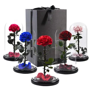 Regalos de San Valentín al por mayor rosas preservadas en caja de regalo de cristal rosas preservadas para siempre flores en cúpula de cristal