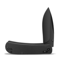 Couteau pliant Sunbart D2 en acier AUS-8, lame à pointe tombante, manche G10, qualité industrielle, garantie 1 an, portable, pour l'extérieur