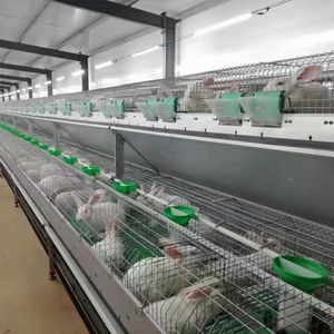 กรงเลี้ยงกระต่ายแบบสองชั้น36ชั้นสำหรับ<span class=keywords><strong>ฟาร์ม</strong></span><span class=keywords><strong>กระต่าย</strong></span><span class=keywords><strong>เนื้อ</strong></span> - Product Image 5