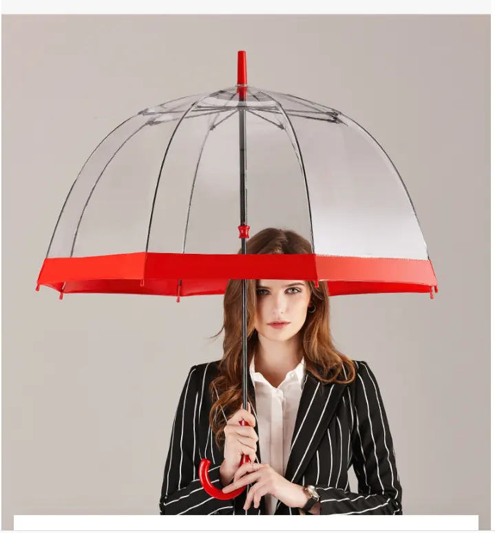 Прозрачный зонтик Apollo в форме купола, клетка для птиц, прозрачный зонтик из ПВХ с питанием по Ethernet, зонтик от дождя