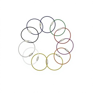 YIWANG porte-clés en métal couleur anneau de câble en acier inoxydable pour étiquette suspendue - Product Image 1
