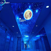 Cielo Falso de PVC, Techos Decorativos con Diseño de Cielo Estrellado, Diseño de Techo Falso de Fibra Óptica Elástica de PVC