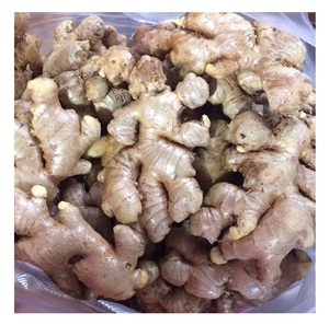 Jengibre fresco de Vietnam con un precio competitivo de 150g - Product Image 1