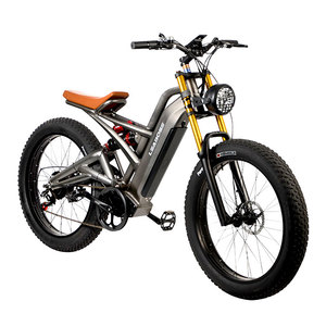 <span class=keywords><strong>Meilleur</strong></span> <span class=keywords><strong>prix</strong></span>, fabricant de haute qualité, vélo électrique de montagne de couleur grise 350/500/750/1000W - Product Image 2