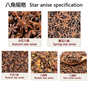 <span class=keywords><strong>Anice</strong></span> Stellato di Alta Qualità dalla Fabbrica Qingchun, <span class=keywords><strong>Semi</strong></span> di <span class=keywords><strong>Anice</strong></span> Stellato Cinese <span class=keywords><strong>in</strong></span> Vendita all'Ingrosso - Product Image 3