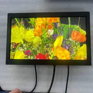 Small Size 11.6 Inch Open Frame Embedded Touch LCD Screen 1000cd/m High Brightness LCD Industrial Monitor