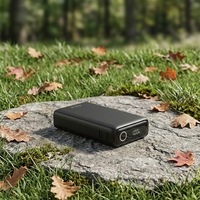 Batterie externe portable 10000 mAh avec double sortie Type C, câble intégré, affichage numérique LCD, charge rapide 20W, prix de gros