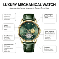 Jam Tangan Mekanik Tourbillon Skeleton Pria OEM ODM Logo Kustom MOQ 500, Casing Paduan Emas, Dial Hijau, Kaca Mineral, Baja Tahan Karat