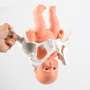 PVC allattare bacino manichino insegnamento medico modello bambino con il bacino femminile flessibile modello di <span class=keywords><strong>scheletro</strong></span> dell'anca formazione - Product Image 4