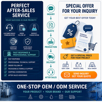 Detergente en Polvo para Lavandería OEM ODM, Marca Privada, Fabricación por Contrato