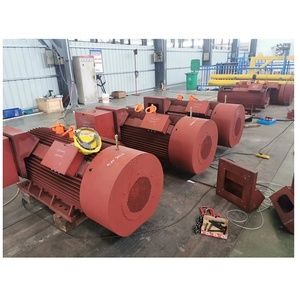 มอเตอร์ไฟฟ้าแรงสูง 6KV/10KV - Product Image 5