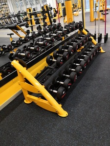 GNS-8212 Ticari İki Katlı Çelik Dambıl Rafı Spor Salonu Fitness Ekipmanı - Product Image 5
