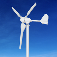 Turbine éolienne 1000W 12v 24v 48v avec contrôleur MPPT