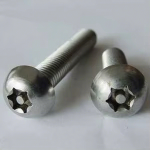 Lower MOQ Stainless Steel 304 <strong>Security</strong> <strong>Screw</strong> Torx Head <strong>Screw</strong> - Product Image 1