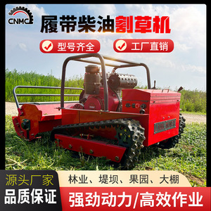 Diesel Flail Lawn <b>Mower</b> 200mm Cutting Height Self Propelled Professional Grade Rear Discharge 4 Cycle Engine - Product Image 4