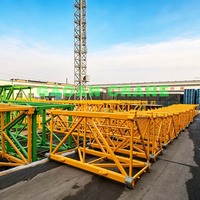 Grúa Torre, Grúa de Pluma, Grúa de Plataforma QTZ100(P6013) Carga Máxima 8t Carga en Punta 1.3t Longitud de Pluma 60m para Construcción de Edificios