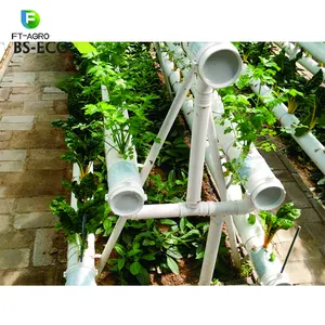 Commercial NFT Hydroponics system greenhouse used for sale