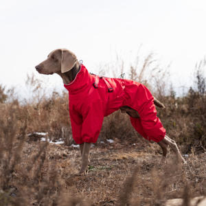 Bacaklar ile yansıtıcı köpek yağmurluk su geçirmez ters lüks büyük Pet giysi Whippet yağmur ceket - Product Image 6