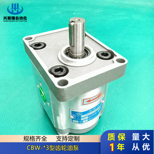 ปั๊มน้ำมันเกียร์อัตโนมัติ Xingchenrui รุ่น CBW 3 แบบปั๊มไฮดรอลิกอะลูมิเนียมอัลลอยด์ ติดตั้งแบบหน้าแปลน เพลาแนวตั้ง - Product Image 4