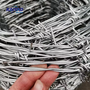 Vendita diretta in fabbrica-Filo spinato in acciaio zincato per isolamento esterno e barriera antifurto ad alta resistenza - Product Image 3