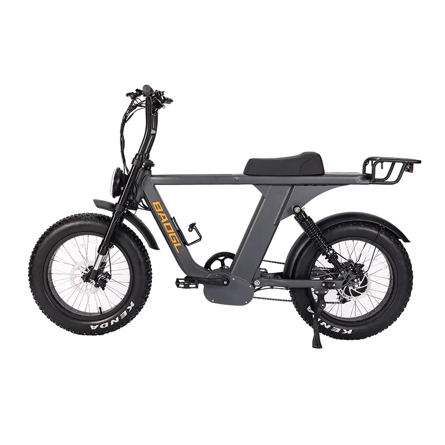 Personalizza la configurazione del nuovo modello elettrico grasso della bicicletta della città batteria interna ebike 73 750w 1000w bici ibrida elettrica