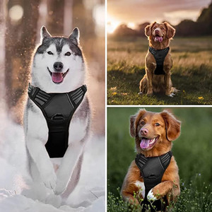 Arnés ajustable reflectante <span class=keywords><strong>para</strong></span> Collar de perro, conjunto de correa con bolsa <span class=keywords><strong>para</strong></span> caca de Mascota, dispensador <span class=keywords><strong>para</strong></span> perro mediano y grande, sin tirones, 2023 - Product Image 4