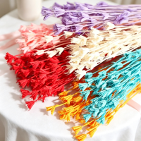 Bouquet de fleurs d'anis étoilé multicolores éternelles, fait main, longue durée (3-5 ans), idéal pour la maison, la Saint-Valentin