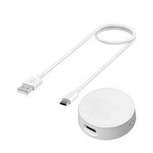 Câble de charge rapide USB 1m pour Watch8/Ultra/Active <span class=keywords><strong>R850</strong></span> - Product Image 1