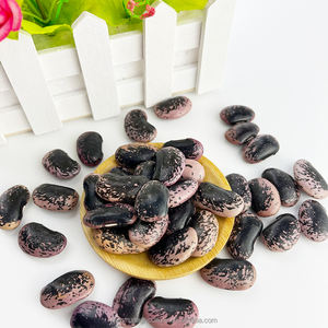 Frijoles de mantequilla chinos secos no Gmo púrpura frijoles de riñón moteados negros grandes - Product Image 4