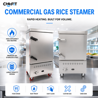 Cuiseur à riz professionnel CFT à porte unique en acier inoxydable, cuiseur vapeur pour fruits de mer, armoire de cuisson à gaz, revêtement de qualité alimentaire économe en énergie pour hôtels