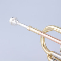 Taishan Brand High Quality Wholesale Brass Bb Key Gold Lacquer Trumpet for Performance
