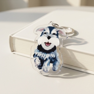 Doppelseitig <span class=keywords><strong>HD</strong></span> UV-Bedruckte Holographische Acryl-Schlüsselanhänger Niedliche Cartoon-Anime Gedenk-Haustier-Charakter Schlüsselanhänger - Product Image 1
