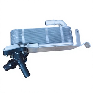 Refroidisseur d'huile pour BMW X3 X4 2.0L 3.0L 2011-2016, pièce de rechange refroidie par eau 17217593856 17217600553 - Product Image 2
