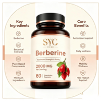 Berbérine SYC BIO Premium 2000mg 60 Capsules Végétariennes Complément Alimentaire à Base de Plantes Prix Usine Vente en Gros