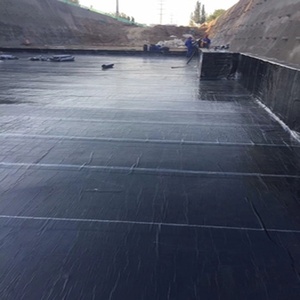 <span class=keywords><strong>Membrane</strong></span> d'étanchéité bitumineuse modifiée SBS APP 3 mm TPO & PE pour l'extérieur et la construction, application au chalumeau, conception industrielle - Product Image 5