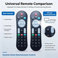 Control Remoto Universal Infrarrojo JCXK de 28 Teclas para TV y Decodificador, Personalizable OEM ODM