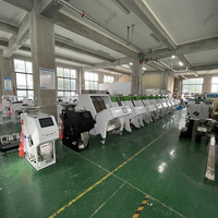 JIACUI CS-1A80 les ventes directes d'usine 800-1500 kg/h trieur de forme de couleur de maïs avec> 99% précision et fonction de sélection multiple