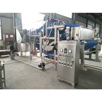 Extracteur de jus de presse à froid de type ceinture haute capacité réglable en usine de 1200kg nouveau utilisé pour le noyau de moteur de fermes d'hôtels