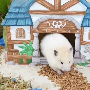 Escondite de hámster multifuncional de madera maciza ecológica de diseño Original más nuevo - Product Image 2