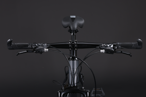 Bicicleta de Montaña Personalizada de 26" con Freno de Disco, Rueda de Radios y 21 Velocidades de Acero de Alto Carbono - Product Image 4
