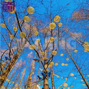 Boule lumineuse de Noël LED en plastique de 30 cm, style tendance, étanche, pour décoration suspendue d'arbre, utilisation intérieure, indice de protection IP65, à intensité variable - Product Image 3