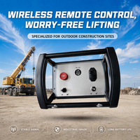 Control Remoto Inalámbrico de 1 Palanca para Grúa, Control Remoto a Prueba de Agua IP68, Controles Remotos para Grúa