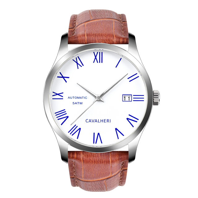 Custom Logo Customized NH35 Movement Diving Watch Automatic Mechanical Watch 5 ATM Luxury Diver Watch for Men